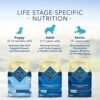 51GK5XS4eNL._AC_.jpg Blue Buffalo Life Protection Formula Natural Adult Dry Dog Food - Buy Now!