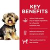 Ultimate Canine Delights Wet Dog Food Variety Pack - Wholesome & Delicious - Image 6