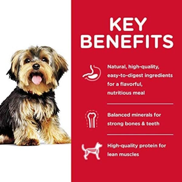 51JmgZiLf0L._AC_.jpg Ultimate Canine Delights Wet Dog Food Variety Pack - Wholesome & Delicious