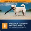51VxLAtemyL._AC_.jpg VetIQ Hip & Joint Supplement for Dogs - Anti-Inflammatory Support