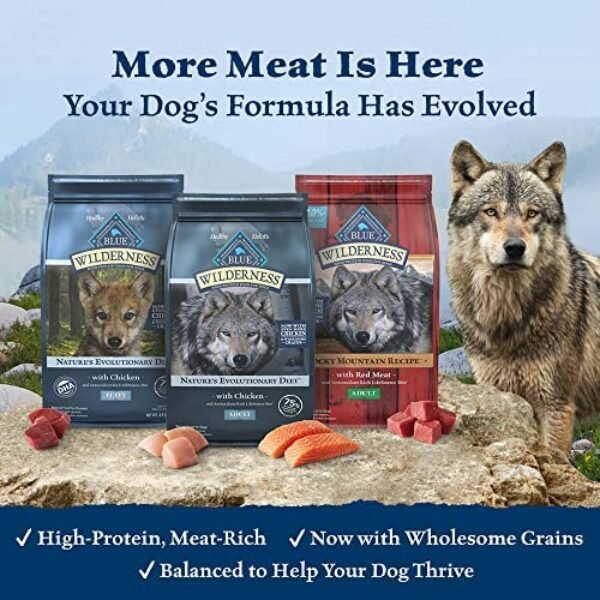 51dxyUv4AsL._AC_.jpg Blue Buffalo Wilderness Small Breed Adult Dry Dog Food | High Protein Nutrition