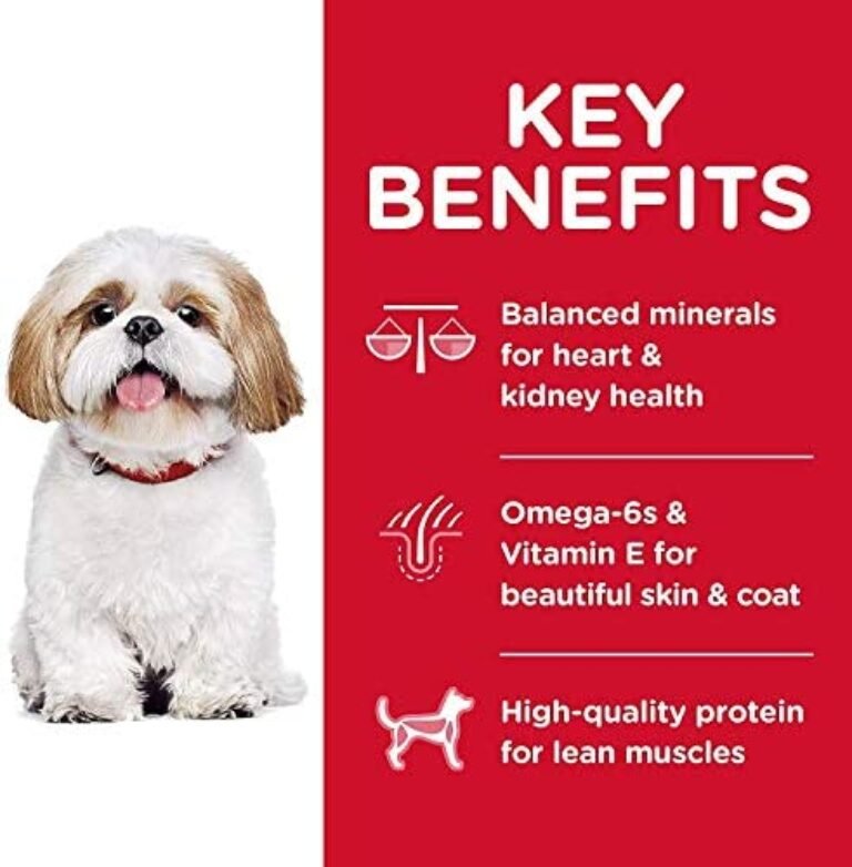 51oXFrzhGcL._AC_.jpg Hill's Science Diet Adult 7+ Small Bites Dog Food - Nutritious Meal for Senior Dogs