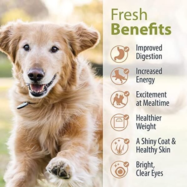 51rCg3BpOHL._AC_.jpg Premium Human Grade Variety Pack for Dogs | Gourmet Dog Food
