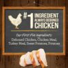 Merrick Dry Dog Food - Real Chicken and Sweet Potato | Grain Free Recipe - Image 4