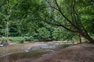 7CEFBIQ5GQI63HHGNASTXUYYMQ.jpgw1440 Barky Supplies Expert Tips