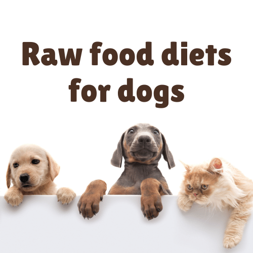 Raw food diets for dogs