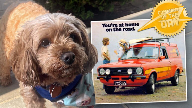 Barky Supplies Expert Tips Did You Crop Out a Picture Of A Dog? WE DEMAND TO SEE THE ... - The Autopian COTD 052323 copy Barky Supplies Expert Tips