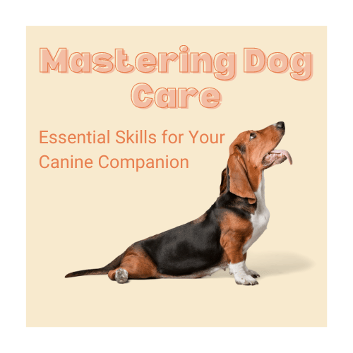 Mastering Dog Care: Essential Skills for Your Canine Companion