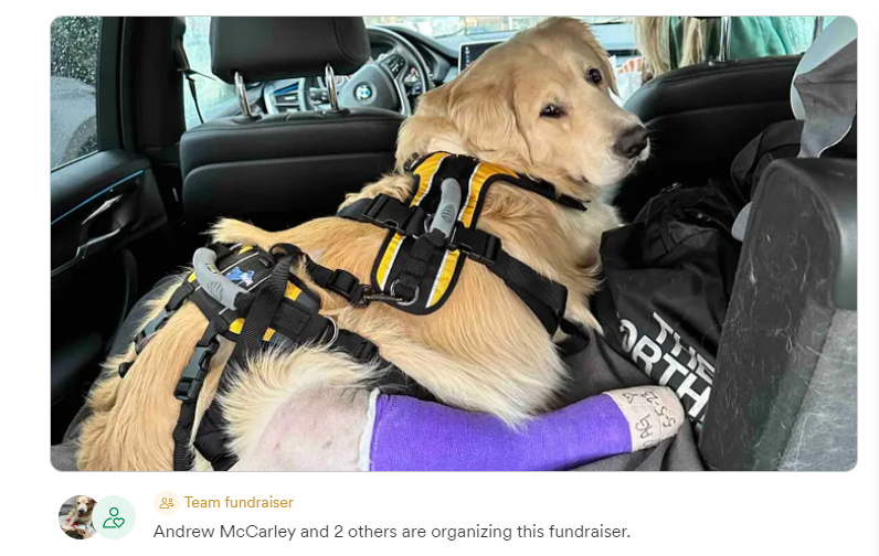 Fundraiser Helps Natchez Dog Shot in Leg