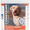Nutramax Cosequin Maximum Strength Joint Health Supplement for Dogs - dog supplements for joints