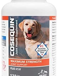 dog supplements for joints