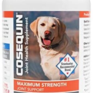 dog supplements for joints
