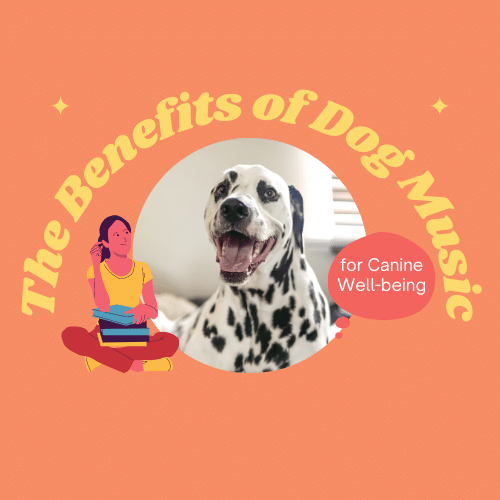 The Benefits of Dog Music for Canine Well-being