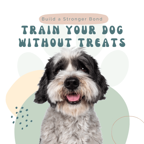 Train Your Dog Without Treats: Build a Stronger Bond