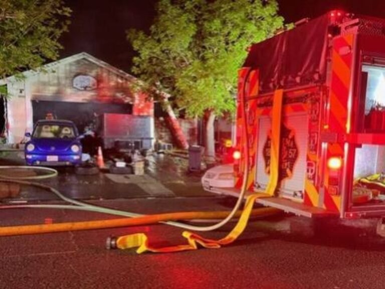 Barky Supplies Expert Tips 4 people and their dog unharmed following Petaluma blaze imengine.prod .srp .navigacloud.com Barky Supplies Expert Tips