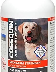 dog supplements for joints