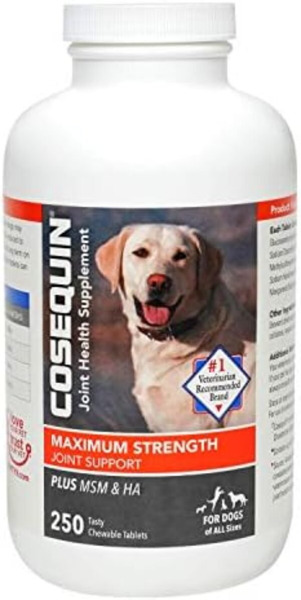 Nutramax Cosequin Maximum Strength Joint Health Supplement for Dogs - dog supplements for joints