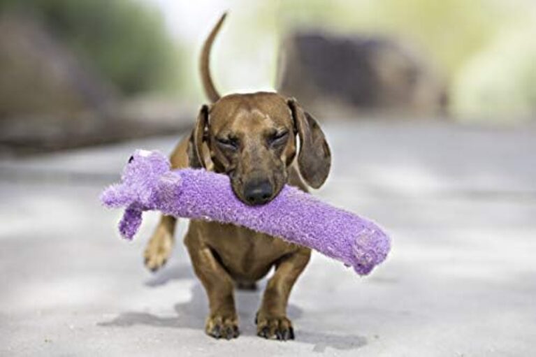 about-us about-us-learn-who-we-are-what-we-do/