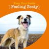 Canine Health Boost - Multifunctional Supplements for Dogs | Joint, Gut, Immune, Skin & Heart Health - Image 9