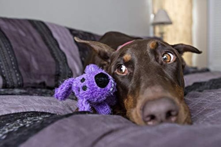 41UTegwGURL._AC_.jpg Multipet Original Loofa Dog 12 - Durable Plush Toy for Dogs | Multipet