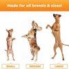 Glycoflex 3: Best Hip and Joint Supplement for Dogs - Vet Recommended - Image 5