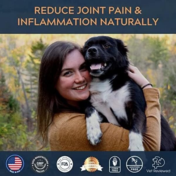 51H-d3T1ZL._AC_.jpg Hip & Joint Chews for Dogs - Glucosamine Chondroitin Joint Supplement