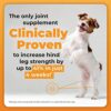 Glycoflex 3: Best Hip and Joint Supplement for Dogs - Vet Recommended - Image 4