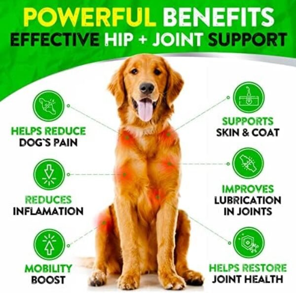 51IAnv02NnL._AC_.jpg Premium Hemp Hip and Joint Supplement for Dogs | Natural Joint Support