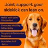 51L9Tl9SQL._AC_.jpg Enhance Your Dog's Joint Health with Finn Hip and Joint Supplement
