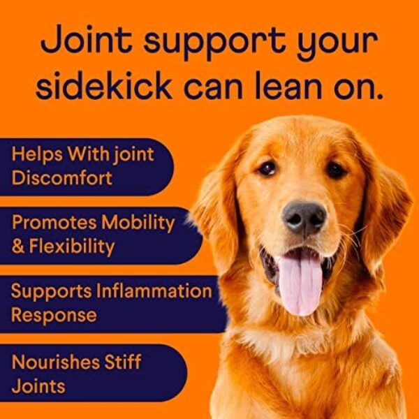 51L9Tl9SQL._AC_.jpg Enhance Your Dog's Joint Health with Finn Hip and Joint Supplement
