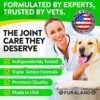 51N5rGEJZmL._AC_.jpg Premium Hemp Hip and Joint Supplement for Dogs | Natural Joint Support