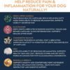 51PDiIsaBLL._AC_.jpg Hip & Joint Chews for Dogs - Glucosamine Chondroitin Joint Supplement