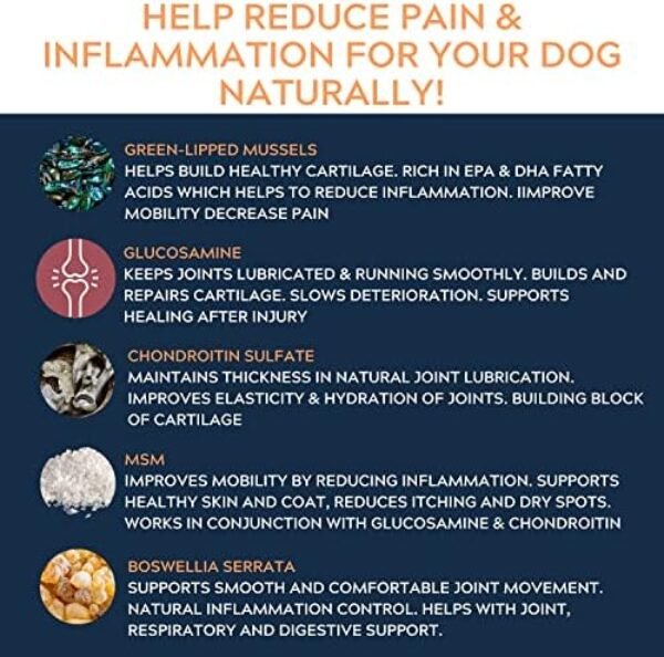 51PDiIsaBLL._AC_.jpg Hip & Joint Chews for Dogs - Glucosamine Chondroitin Joint Supplement
