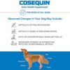 51QydonlrNL._AC_.jpg Nutramax Cosequin Maximum Strength Joint Health Supplement for Dogs - Promote Joint Mobility & Health