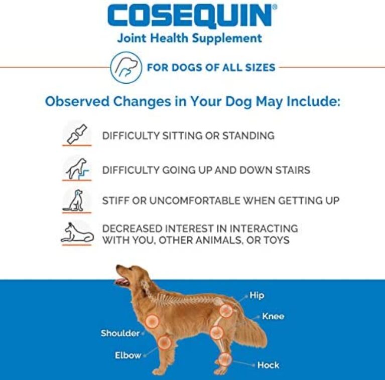 51QydonlrNL._AC_.jpg Nutramax Cosequin Maximum Strength Joint Health Supplement for Dogs - Promote Joint Mobility & Health