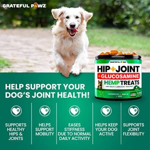 51jlA271HeL._AC_.jpg Hemp Hip and Joint Supplement for Dogs - Glucosamine for Dogs - 170 Dog Joint Pain Relief Treats - Chondroitin, MSM, Hemp Oil - Advanced Dog Joint Supplement Health - Mobility Support Chews