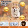 51nje2qBd5L._AC_.jpg Glucosamine for Dogs - Joint Supplement for Optimal Mobility