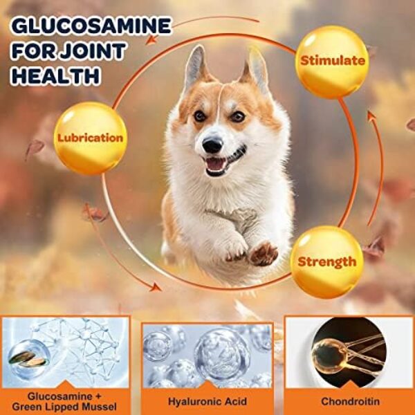 51nje2qBd5L._AC_.jpg Glucosamine for Dogs - Joint Supplement for Optimal Mobility