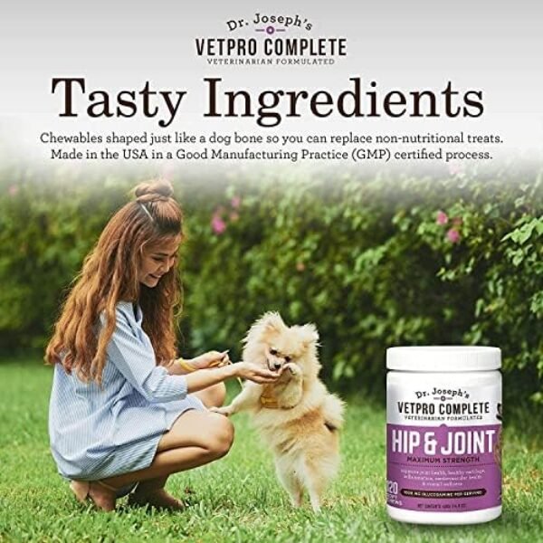 51oz1KWm21L._AC_.jpg VetPro Dog Hip and Joint Supplement - Pain Relief Chews for Dogs