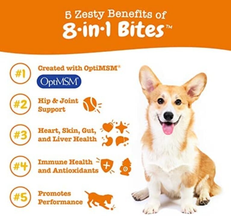 51pKsccuhtL._AC_.jpg Canine Health Boost - Multifunctional Supplements for Dogs | Joint, Gut, Immune, Skin & Heart Health