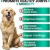 51vUaRZSn3L._AC_.jpg Hemp Hip and Joint Supplement for Dogs - Glucosamine for Dogs - 170 Dog Joint Pain Relief Treats - Chondroitin, MSM, Hemp Oil - Advanced Dog Joint Supplement Health - Mobility Support Chews