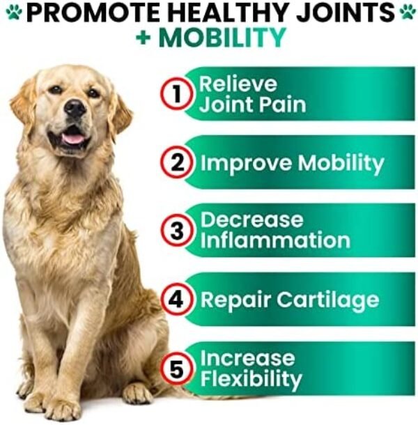 51vUaRZSn3L._AC_.jpg Hemp Hip and Joint Supplement for Dogs - Glucosamine for Dogs - 170 Dog Joint Pain Relief Treats - Chondroitin, MSM, Hemp Oil - Advanced Dog Joint Supplement Health - Mobility Support Chews