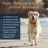 51wcMyAEML._AC_.jpg Hip & Joint Chews for Dogs - Glucosamine Chondroitin Joint Supplement