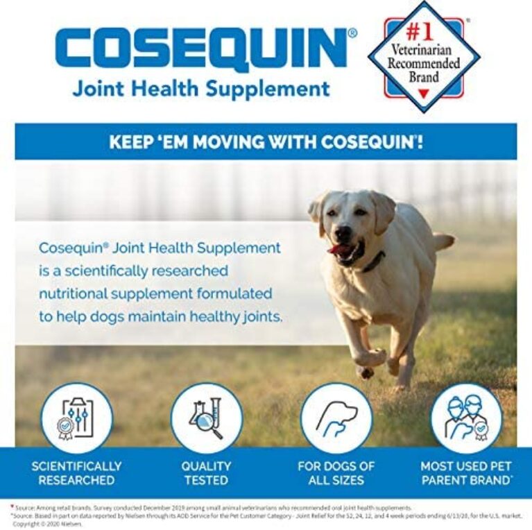 51zzjfxxmLL._AC_.jpg Nutramax Cosequin Maximum Strength Joint Health Supplement for Dogs - Promote Joint Mobility & Health