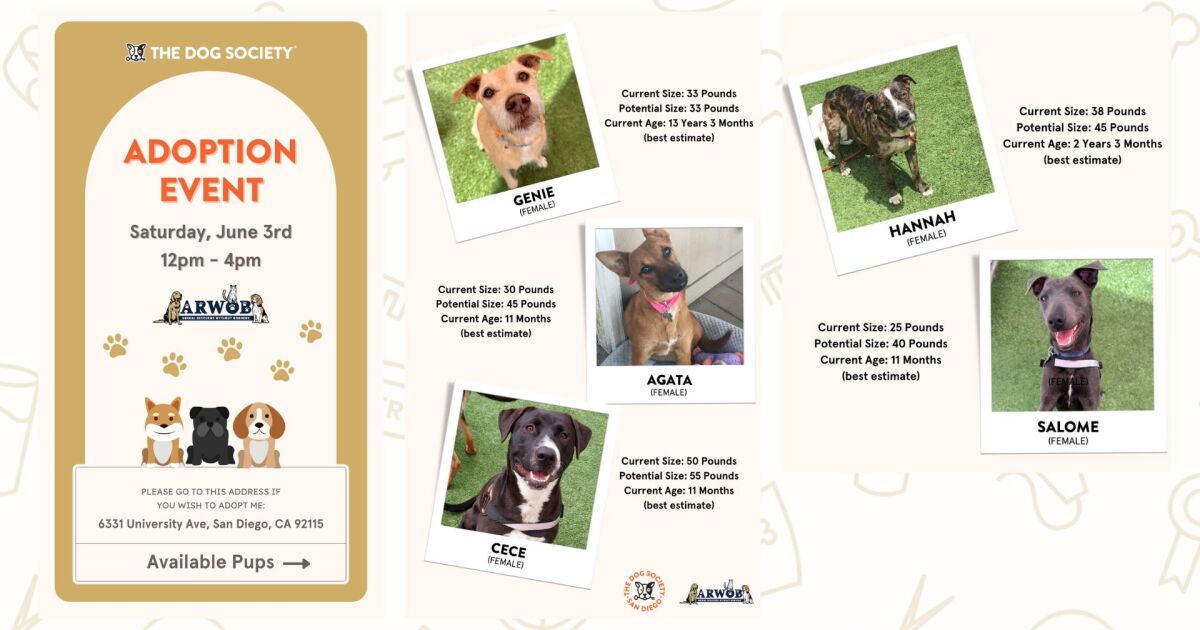 Dog Adoption Event – KPBS