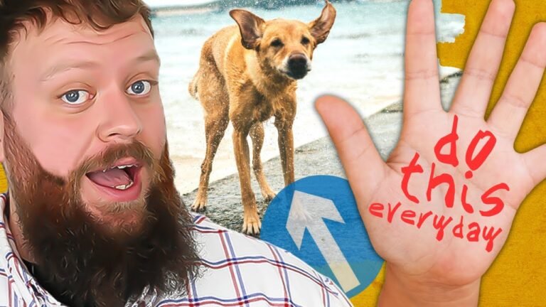 Barky Supplies Expert Tips Achieving Canine Excellence: Dog Training Exercises for Perfection 1690147752 maxresdefault Barky Supplies Expert Tips