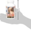 31WVdLeaDyL._AC_.jpg Nutramax Cosequin Maximum Strength Joint Health Supplement for Dogs