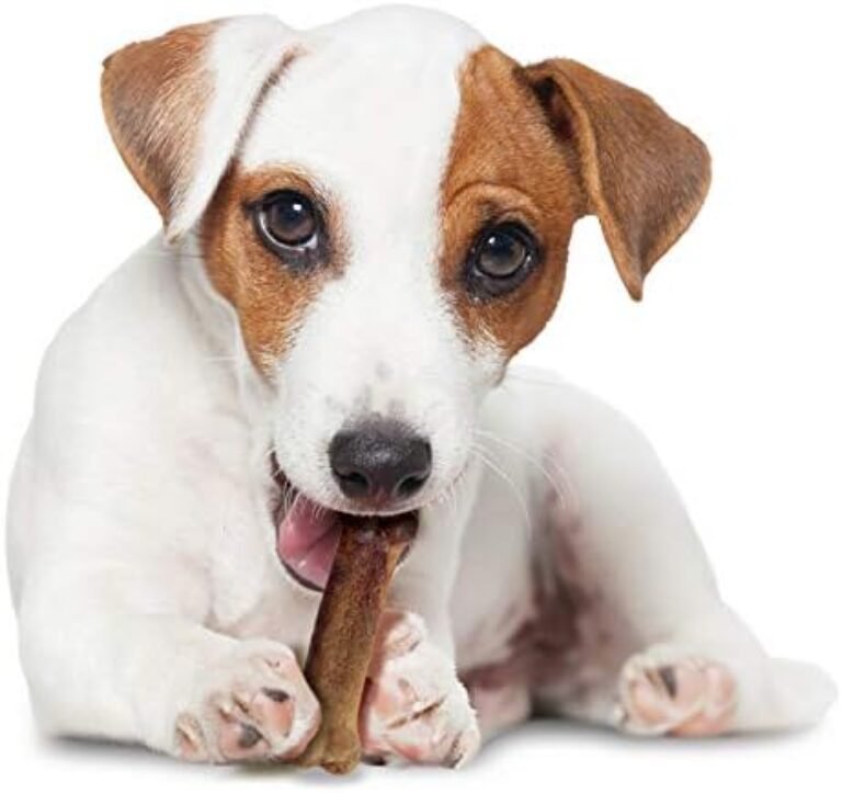 4111j9SCZUL._AC_.jpg Nylabone Healthy Edibles All-Natural Long Lasting Bacon Flavor Chew Treats 1 Count Bacon Small/Regular