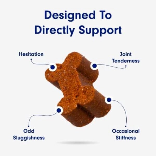 418vVhfrbgL._AC_.jpg Petlab Co. Joint Care Chews - High Levels of Glucosamine for Dogs, Green Lipped Mussels, Omega 3 and Turmeric - Dog Hip and Joint Supplement to Actively Support Mobility - Packaging May Vary