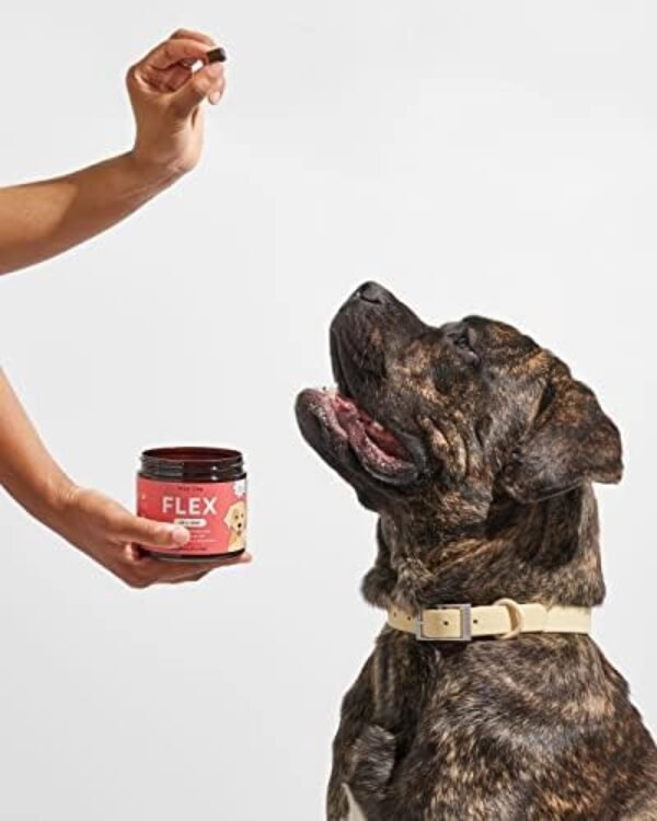 41N0rl32uQL._AC_.jpg Wild One Flex Hip & Joint Supplements, Soft-Chews, Promote Mobility and Joint Health for Dogs, 60+ Day Supply